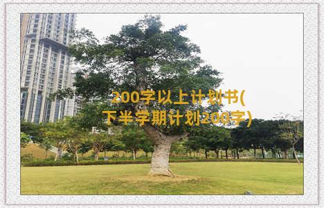 200字以上计划书(下半学期计划200字)