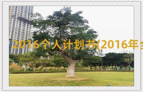 2016个人计划书(2016年全国个人赛)