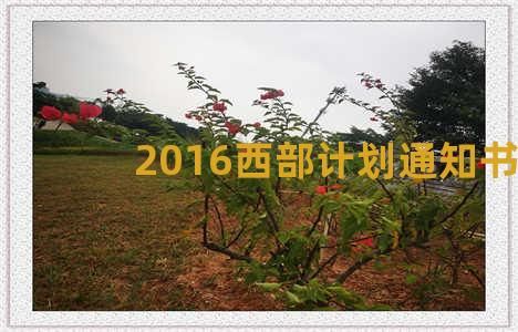 2016西部计划通知书