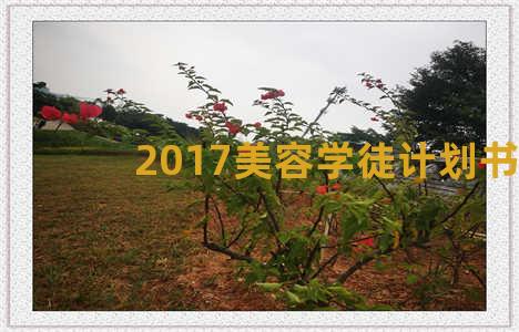 2017美容学徒计划书