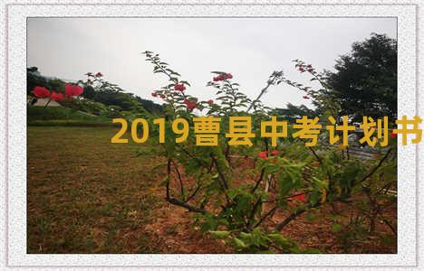 2019曹县中考计划书