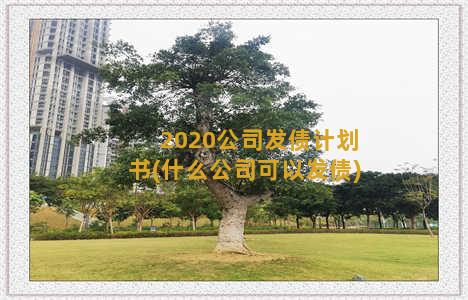 2020公司发债计划书(什么公司可以发债)