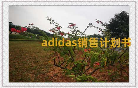 adidas销售计划书