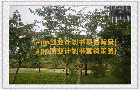 app创业计划书项目背景(app创业计划书营销策略)