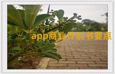 app商业计划书要点