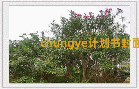 chungye计划书封面