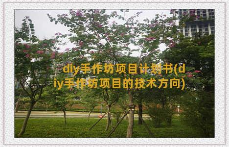 diy手作坊项目计划书(diy手作坊项目的技术方向)