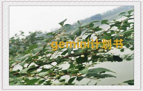 gemini计划书