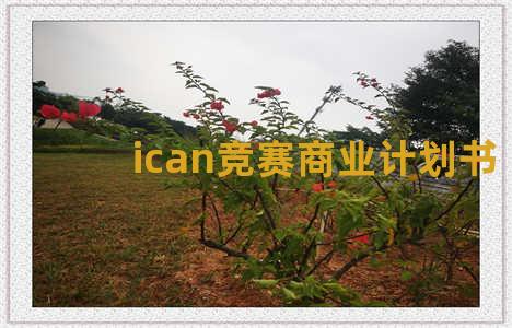 ican竞赛商业计划书