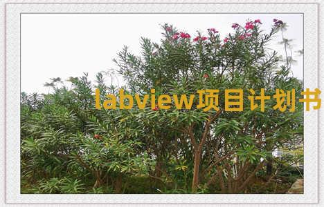 labview项目计划书