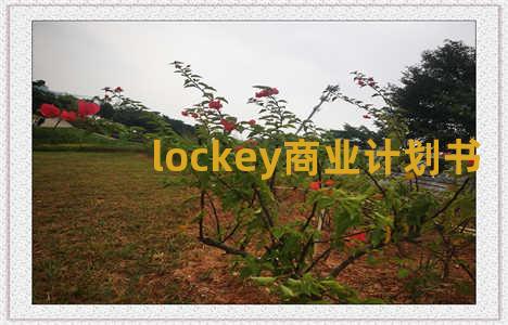 lockey商业计划书