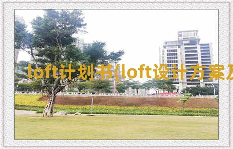 loft计划书(loft设计方案及说明)