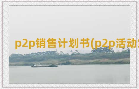 p2p销售计划书(p2p活动策划简历)