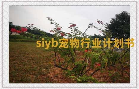 siyb宠物行业计划书