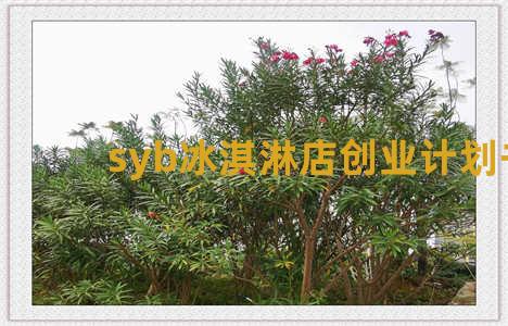 syb冰淇淋店创业计划书