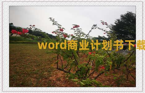 word商业计划书下载