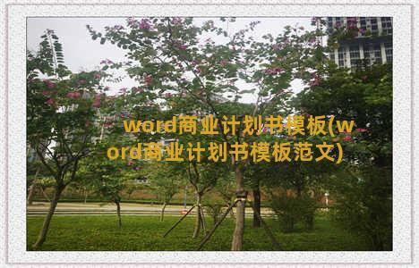 word商业计划书模板(word商业计划书模板范文)