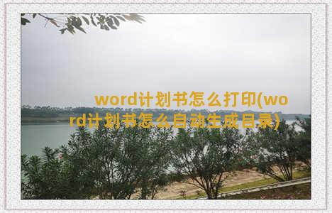 word计划书怎么打印(word计划书怎么自动生成目录)