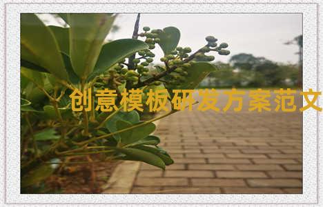 创意模板研发方案范文