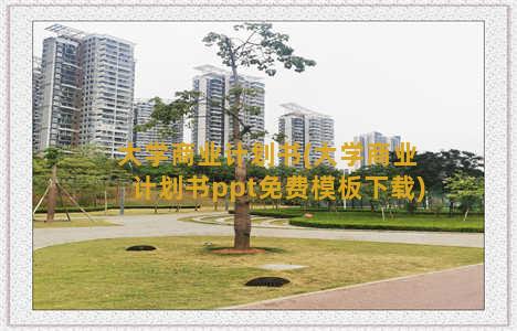 大学商业计划书(大学商业计划书ppt免费模板下载)