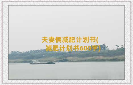 夫妻俩减肥计划书(减肥计划书600字)