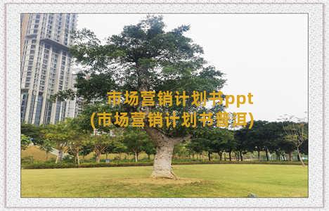 市场营销计划书ppt(市场营销计划书普洱)