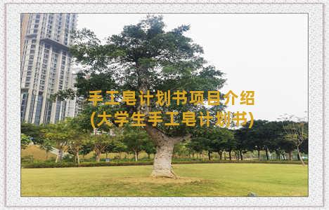 手工皂计划书项目介绍(大学生手工皂计划书)