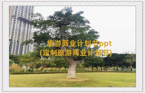 旅游商业计划书ppt(定制旅游商业计划书)