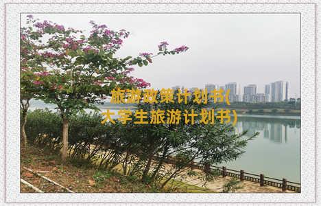 旅游政策计划书(大学生旅游计划书)