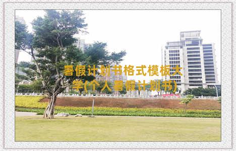 暑假计划书格式模板大学(个人暑假计划书)