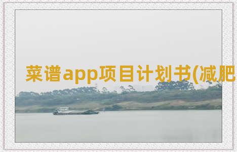 菜谱app项目计划书(减肥菜谱App)